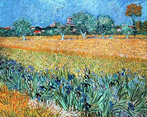 Dutch Gallery: Field with Flowers near Arles by Van Gogh