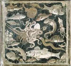 Decoration Gallery: Fish Mosaic from Pompeii