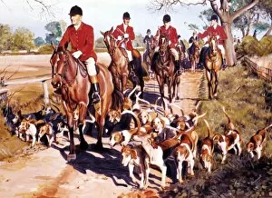 Rural Collection: Fox hunting - riders and their dogs