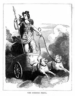 Goddess Collection: Freya in her Chariot