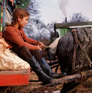 Step Gallery: Gipsy girl plaiting horses tail at an encampment in Surrey