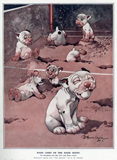 Hard lines on the hard court by George Studdy Hard lines on the hard court by George Studdy
