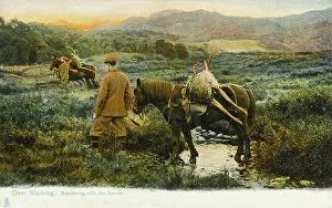 Moor Land Collection: Hunting Series (1 of 5) - Deer Stalking