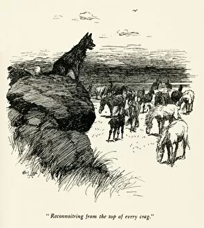 Illustration by Cecil Aldin, The Wild Horses of Iceland