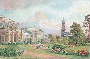 Pagoda Gallery: Kew Gardens, The Temperate House and the Pagoda, London