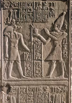 Kom Ombo Collection: Kom Ombo Wall Relief