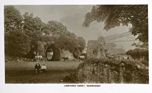 Abbey Collection: Lindores Abbey, Newburgh, Scotland