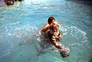 Enjoying Gallery: Man swimming with tiger