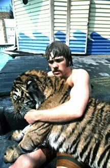 Enjoying Gallery: Man and tiger by swimming pool