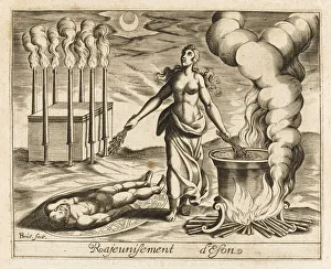 Rejuvenating Gallery: MEDEA REJUVENATING
