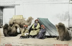 Seated Collection: Mongolian Traders in China with camels