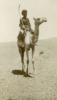 Atbara Collection: A nomad riding a camel in the desert