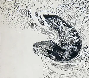 Swimming Gallery: Otter swimming