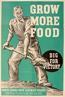 WW2 and WW2 Propaganda Posters: Poster, Dig for Victory, Grow More Food, WW2