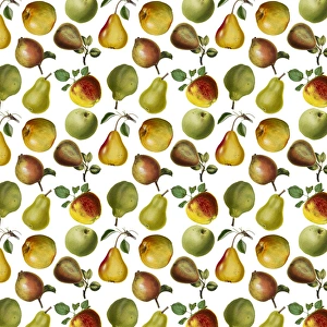 Graphics Gallery: Repeating Pattern - Apples and Pears