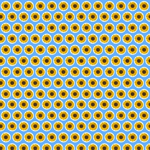 Graphics Gallery: Repeating Pattern - Sunflowers - Blue Background