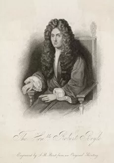 Seated Collection: Robert Boyle / Bird