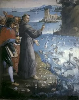 Paintings Collection: Saint Anthony of Padua preaching to the fishes