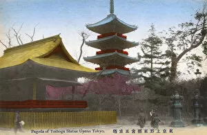 Pagoda Gallery: The Tosho-gu Shrine at Ueno Park in Tokyo, Japan