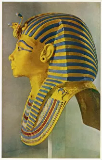 Egypt Gallery: Tutankhamun, Pharaoh