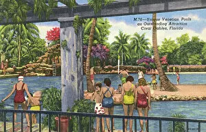Swim Gallery: Venetian Pools, Coral Gables, Florida, USA