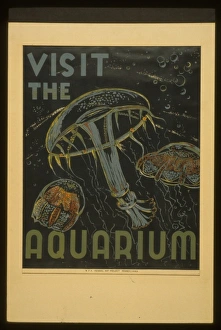 Administration Gallery: Visit the aquarium