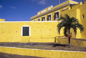 Christiansted Gallery: Caribbean, St Croix, Christiansted, palm