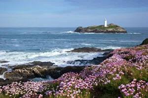 Lighthouse Collection: Godrevy Island and Lighthouse - from Gwithian - thrift - Cornwall - UK