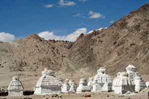 Pagoda Gallery: India, Ladakh, Shey, white stupa forest