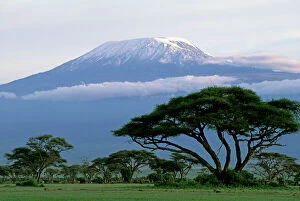 Cloud Collection: Mt Kilimanjaro in Tanzania - taken from Amboseli National Park - Kenya JFL14183