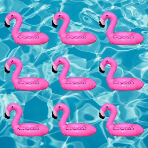 Flamingo Gallery: Swimming pool with inflatable flamingo Swimming