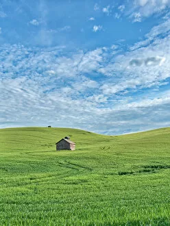 Refreshing Gallery: USA, Washington State, Small barn and tracks in wheat field