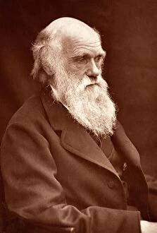 Darwin Collection: 1874 Charles Darwin picture by Leonard