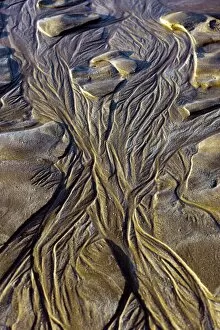 Woolacombe Collection: Sand patterns at low tide