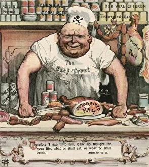 Tainted meat products, 1906 artwork
