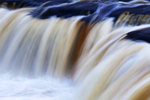 : Abstract Collection