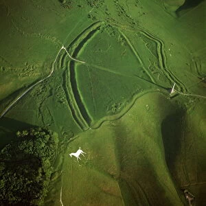 Animal Representation Collection: Aerial image of Oldbury Camp Hill Fort with Cherhill White Horse, Cherhill Down