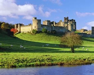 Castle Gallery: Alnwick Castle, Alnwick, Northumberland, England