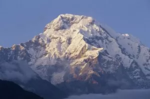 Nepalese Collection: Annapurna South