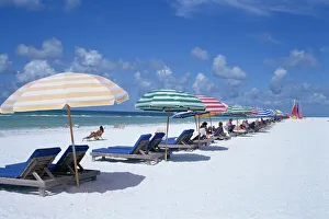 Entertainment Gallery: Beach, Longboat Key, Sarasota, Florida, United States of America (U