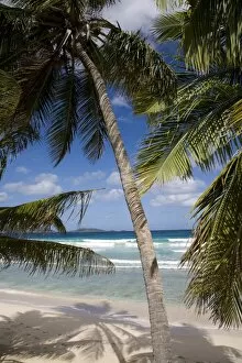 Tranquil Collection: Beach, palm trees and surf in Long Bay, Tortola, British Virgin Islands