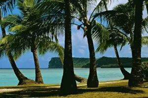 Vacationing Collection: Beach view, Guam, Pacific