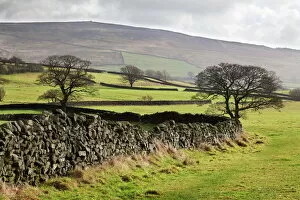 Wall Collection: Beamsley Beacon from Storiths, North Yorkshire, Yorkshire, England, United Kingdom, Europe