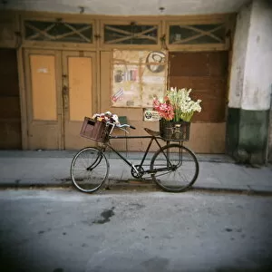 Indian Architecture Gallery: Bicycle with flowers in basket, Havana Centro, Havana, Cuba, West Indies, Central America