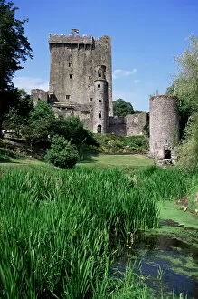 Blarney Collection: Blarney Castle