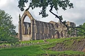 Abbey Collection: Bolton Abbey, Wharfedale, Yorkshire Dales National Park, Yorkshire, England