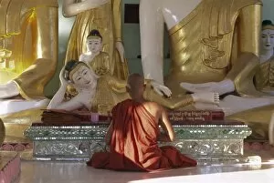 Pagoda Collection: Buddhist monk worshipping at Shwedagon Paya (Shwe Dagon pagoda), Yangon (Rangoon)