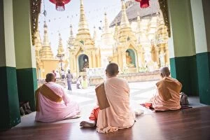 Religion & Spirituality Collection: Buddhist Nuns praying at Shwedagon Pagoda (Shwedagon Zedi Daw) (Golden Pagoda), Yangon (Rangoon)
