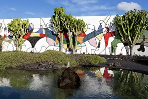 Pond Collection: Cacti in garden, Fundacion Cesar Manrique, Taro de Tahiche, Lanzarote, Canary Islands, Spain