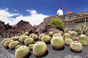 Garden Collection: Cactus garden Jardin de Cactus by Cesar Manrique, wind mill, UNESCO Biosphere Reserve
